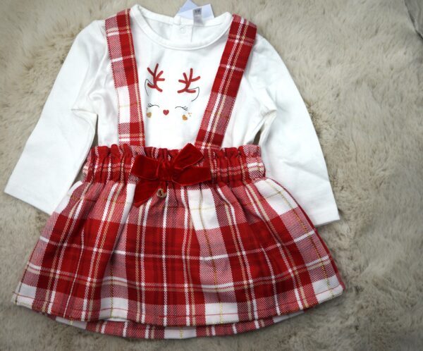 Tshirt en rok set- 2 delig - 62