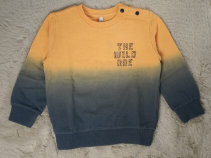 Baby trui the wild one