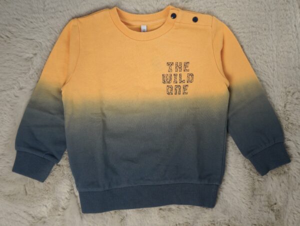 Baby trui the wild one